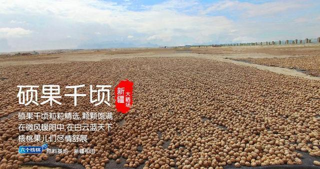 KU酷游官网-不凡成就非凡,相信品牌力量