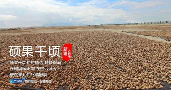 KU酷游官网-不凡成就非凡,相信品牌力量