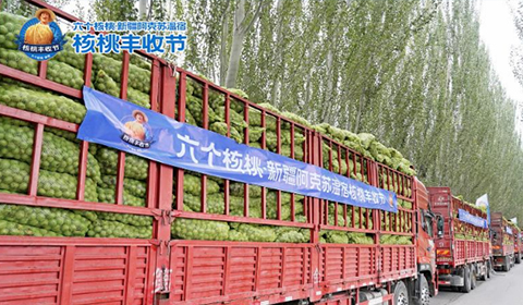 KU酷游官网-不凡成就非凡,相信品牌力量